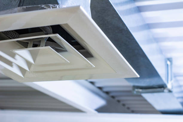 Best Local Air Duct Cleaning Services  in Pigeon, MI