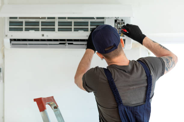 Best Air Duct Mold Removal  in Pigeon, MI