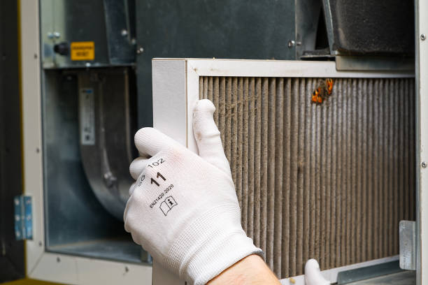 Best Affordable HVAC Duct Cleaning  in Pigeon, MI