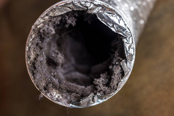 Best Air Duct Cleaning Company Near Me  in Pigeon, MI