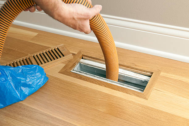 Best Dryer Vent Cleaning Services  in Pigeon, MI