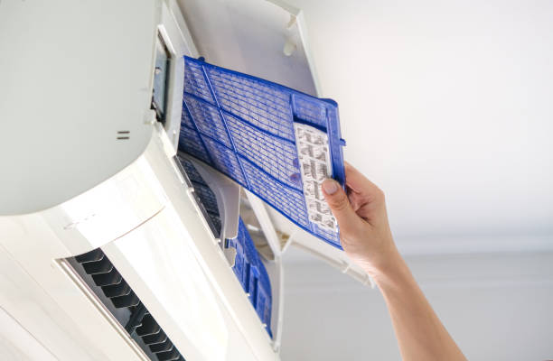 Best HVAC Air Duct Cleaning  in Pigeon, MI