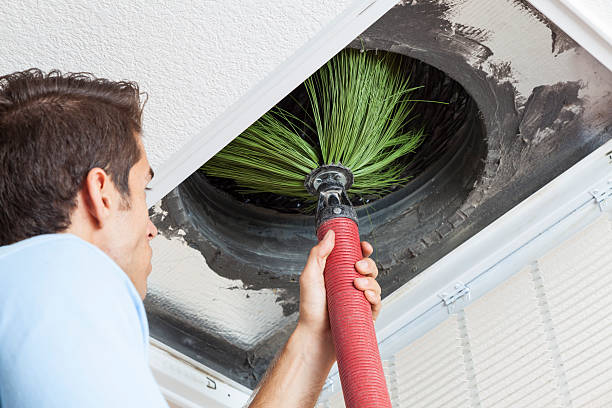 Best Residential Air Duct Cleaning  in Pigeon, MI