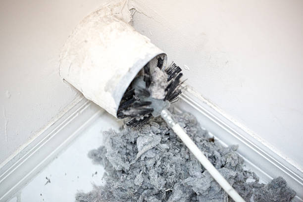 Best Emergency Air Duct Cleaning  in Pigeon, MI